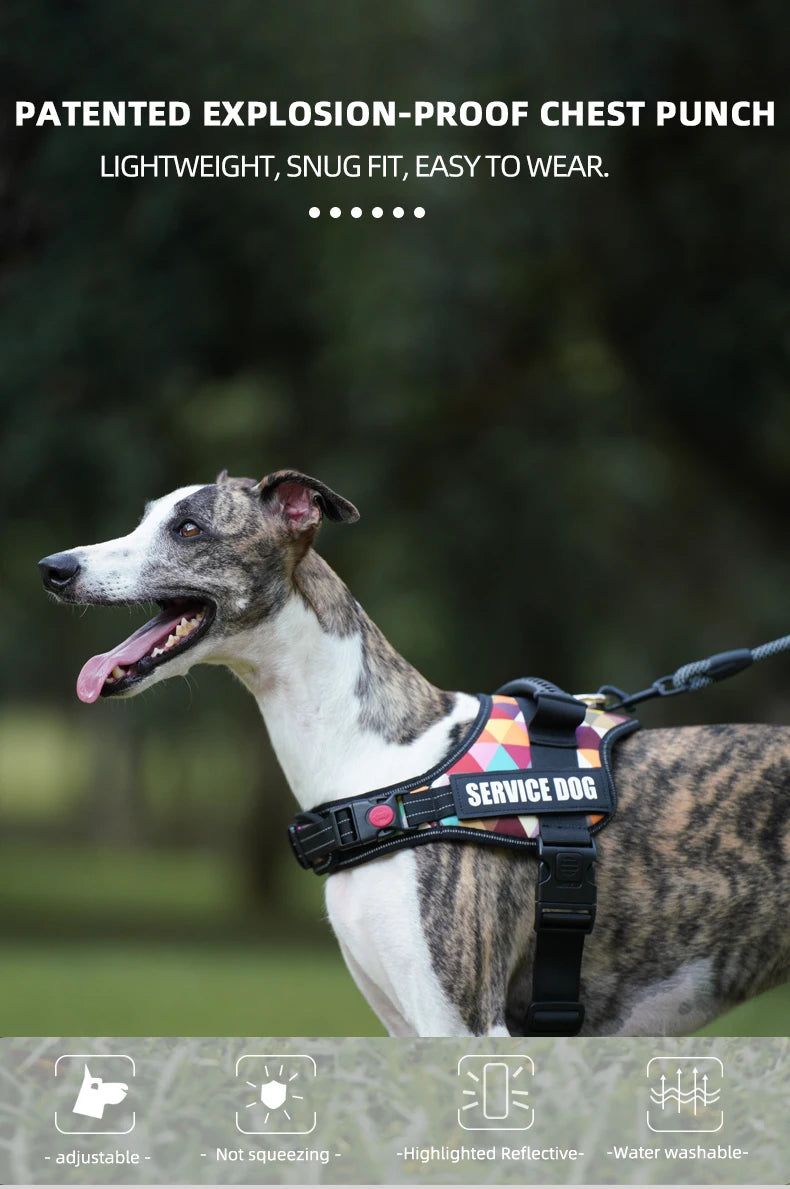 Pet Customizable Harness Vest For Small Medium Large Dog Classic Luxury Walking Dog Harness Adjustable No pull Safe Pet Supplies