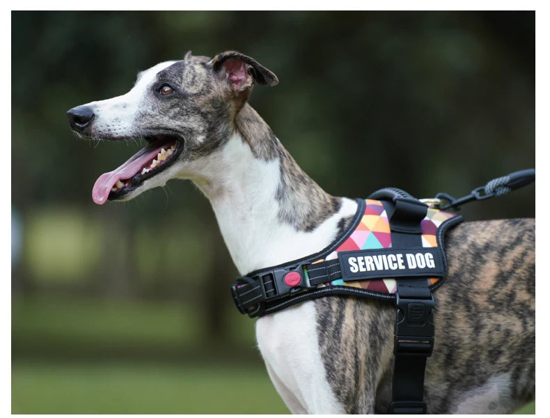 Pet Customizable Harness Vest For Small Medium Large Dog Classic Luxury Walking Dog Harness Adjustable No pull Safe Pet Supplies