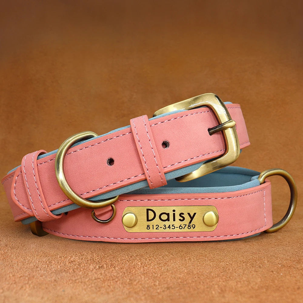 Customized Leather Dog Collar. Free Engraving.