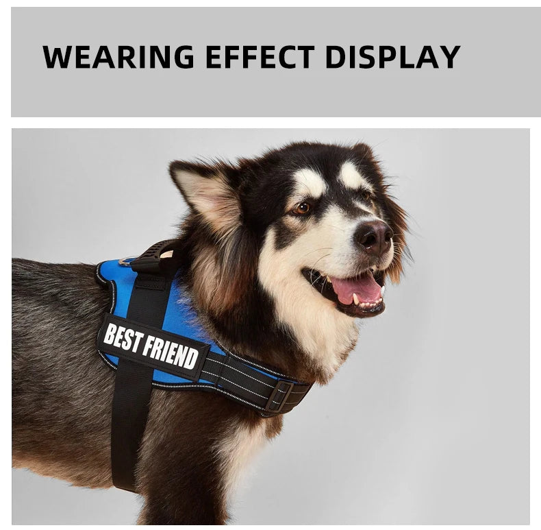 Pet Customizable Harness Vest For Small Medium Large Dog Classic Luxury Walking Dog Harness Adjustable No pull Safe Pet Supplies
