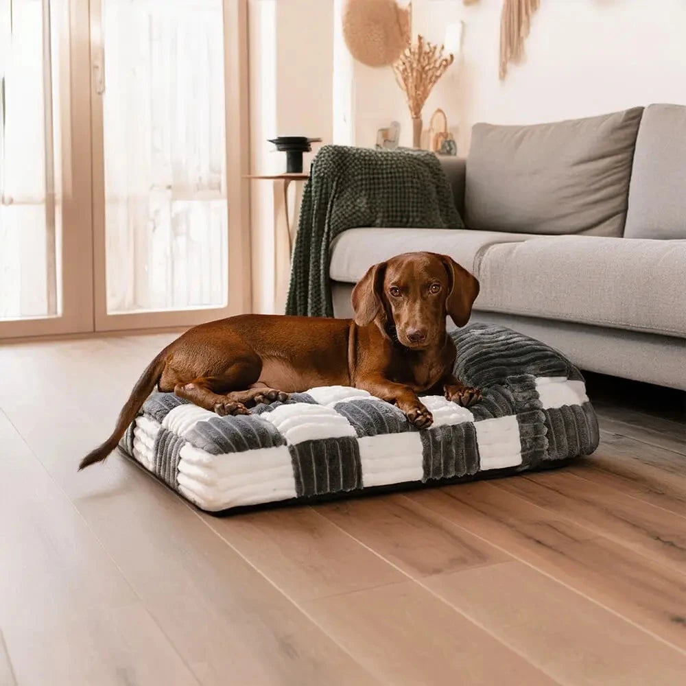 Handmade Orthopedic large and small dog beds with pillow