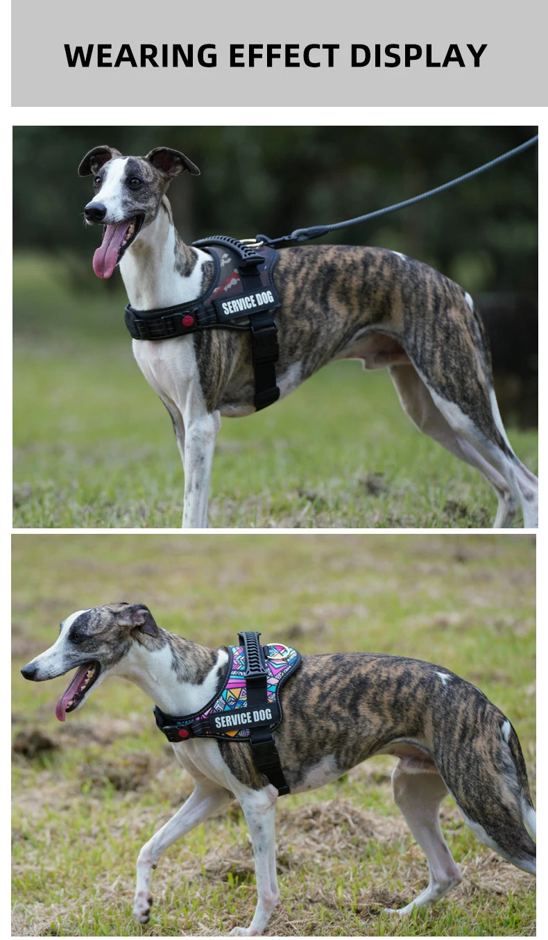 Pet Customizable Harness Vest For Small Medium Large Dog Classic Luxury Walking Dog Harness Adjustable No pull Safe Pet Supplies