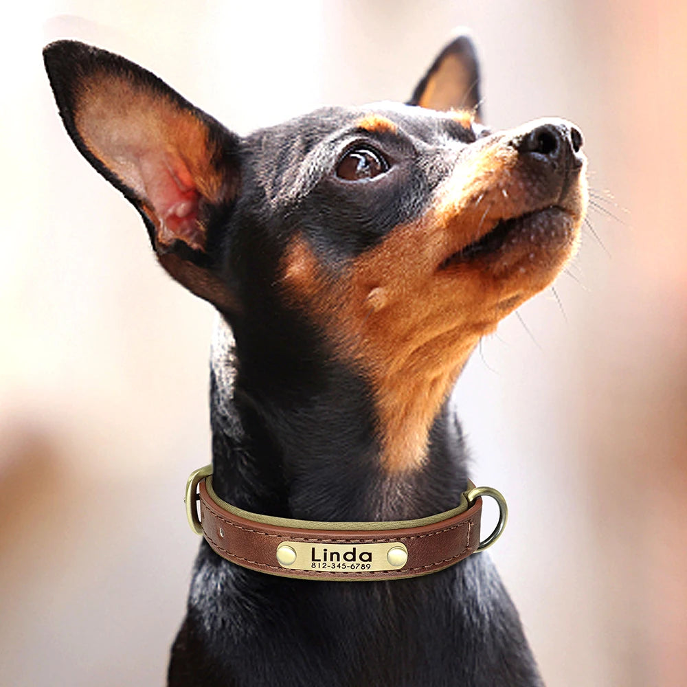 Customized Leather Dog Collar. Free Engraving.